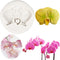 Orchid Flower Silicone Fondant Molds For Chocolate Cupcake Topper Cake Decoration Candy Sugar Craft Polymer Clay Gum Paste...