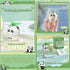 Rechargeable Mini Panda Fan, Summer Cute Animal Tabletop Decoration Portable Fan, Small Table Fan, Desk, Bedside Bookshelf, Car Mounted Small Toy ...