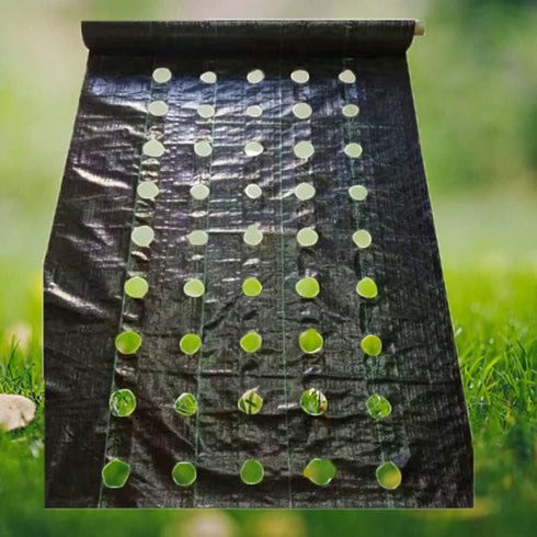 Agfabric Weed Barrier Landscape Fabric 4x6ft with Planting Holes, Hole Diameter 4", Hole Spacing 8", Row Spacing12 on Center...