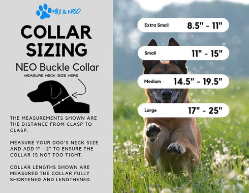 Max and Neo NEO Nylon Buckle Reflective Dog Collar - We Donate a Collar to a Dog Rescue for Every Collar Sold (X-Small, Purple)...