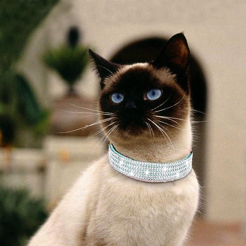 Pimaodog Rhinestones Dog Collar, Cute Dazzling Sparkling Soft Suede Leather Pet Cat Puppy Collars with Bell Soft Velvet Crystal Collars Girl Jewel...