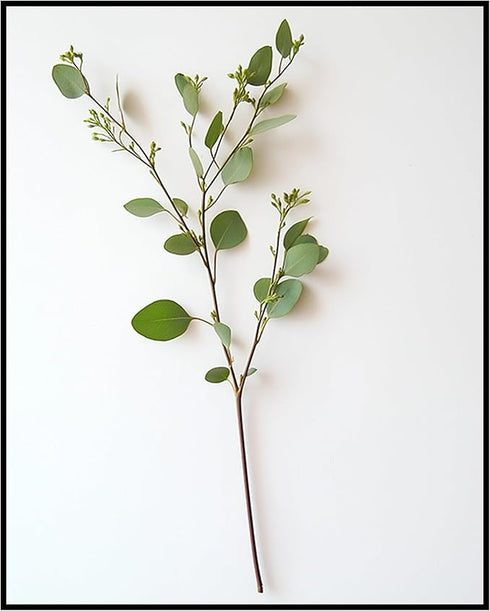 Posterizer 1 pcs-plant leaves-Chic Dainty art for plant lovers 4-Floral & Botanical Art-Workplace & Office Art-Living Room Bedroom Decor- unframed...