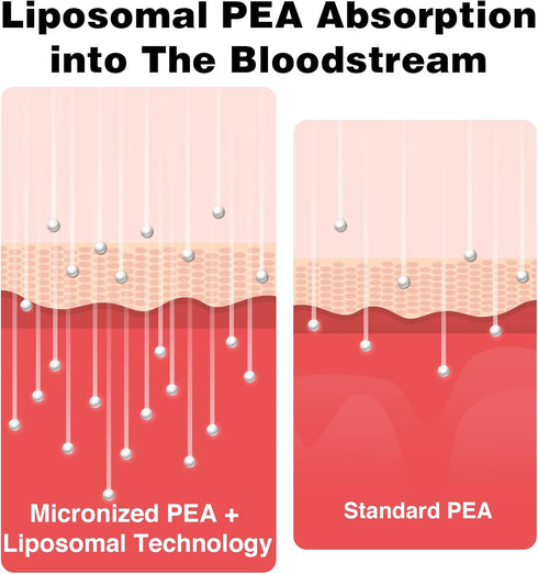 Liposomal Palmitoylethanolamide 1000 mg + Luteolin 100 mg, Micronized Pea 99% Highly Purified - Enhanced Absorption and Bioavailability, 60 Softge...