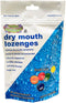 Dry Mouth Relief Fruit Mix 3.3oz Bag (1 Bag) | Relieves Dry Mouth & Increases Saliva Production, Sugar Free, Gluten Free, Delicious Fruit Flavor, ...
