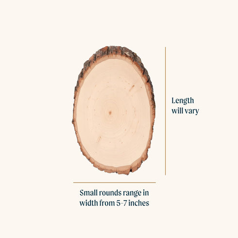Walnut Hollow Basswood Round, Small 5-7" wide with Live Edge Wood (Pack of 1) - For Wood Burning, Home Décor, and Rustic Weddings...