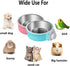 Rabbit Bowls Set, Big Pet Bunny Food Bowls Small Animals Cage Bowl and Stainless Steel Hanging Water Food Feeder Bowls for Big Bunny Food Dish...