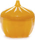 Garlic Saver, Garlic Keeper, Garlic Storage, Garlic Saver Container, Large Garlic Keeper...