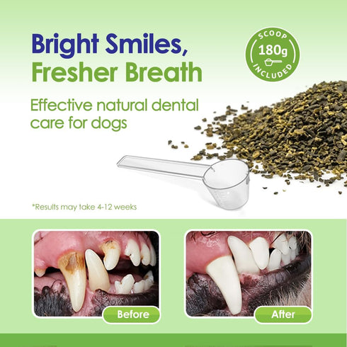Dog Teeth Cleaning Powder, Dog Plaque and Tartar Remover, Bad Breath Treatment for Dogs with USDA Organic Sea Kelp Powder, Dog Dental Care Made Ea...