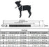 Cute Dog Collar with Bling Rhinestone, Fancy Crystal Diamond Glitter Pretty Jewel Soft Cat Collars for Small Medium Large Breed Dogs Girl Female P...