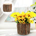 Bark Planter Pot 2pcs Wood Bark Flower Pot Natural Log Succulent Planter Flower Pots for Indoor Plants Rustic Tree Stump Plant Pot Farmhouse Flowe...