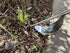 Edward Tools Weeding Tool - Leverage Metal Base Creates Perfect Angle for Easy Weed Removal and Deeper Digging - Sharp V Nose Digs deep to Roots -...