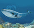Gemini&Genius Blue Whale Sea Animal Action Figure, Ocean Shark Whale Model Toy, Educational, Role Play, Swim, Beach, Bath and Collectors for Kids...