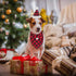 ADOGGYGO Christmas Dog Bandana Hat Bow tie Set - Classic Plaid Pet Scarf Dog Christmas Costume Decoration Accessories for Small Dogs Cats Pets (Sm...