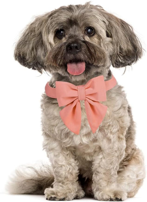 Maca Bates Dog Collar with Bow Bowtie for Dogs Solid Colors Sailor Bow Tie Adjustable Breakaway Girly Pink Collars Birthday Gift for Small Medium ...