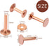 Hotop Copper Rivet and Burr Washers for Leather Work #9 and #12 Brass Rivets Setter Install Setting Tool with Hole Punch Cutter Kit for Belts Wall...