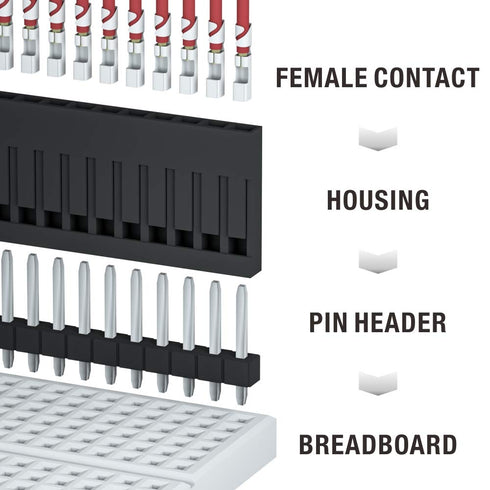 IWISS 1550PCS 2.54mm Pitch Wire-to-Wire Dupont Connector Kit, Includes Pin Headers, Jumper Wire, Crimp Pins for RC Servo, Arduino, SMT, SATA, EPS,...