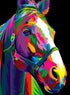 QDCFY ARAZADR Printed Stamped Cross Stitch Kits Embroidery kit for Beginners Adults Full Range of Embroidery Horse Face Patterns Starter Kits DIY ...