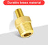 GODESON Air Inflator Adapter,1/4 NPT (m) to Standard Schrader Valve (M),Schrader Valve Adapter for Tire Inflator Portable Air Compressor/Pump with...