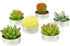 Cactus Tealight Candles, Handmade Delicate Succulent Cactus Candles? Perfect for Birthday Party ,Wedding, Spa, Home Decor)...