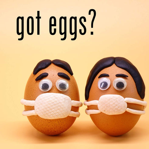 AAA Grade Whole Egg Powder ? Gluten-Free ? OU Kosher Certified (Pasteurized, Made in USA, 1 Ingredient no additives, Produced from the Freshest of...