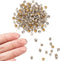 Fashewelry 2mm Pointed Back Clear Glass Rhinestone 1440Pcs Faceted Diamond Loose Stone with Golden Back Mini Crystal Diamante Gems for Nail Art Cr...