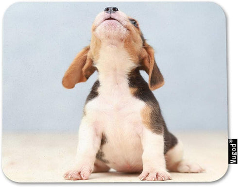 Puppy Dog Mouse Pad Small Cute Beagle Puppy Dog Looking Up Decor Gaming Mouse Pad Rectangle Non-Slip Rubber Mousepad for Computers Laptop 7.9x9.5 ...