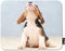 Puppy Dog Mouse Pad Small Cute Beagle Puppy Dog Looking Up Decor Gaming Mouse Pad Rectangle Non-Slip Rubber Mousepad for Computers Laptop 7.9x9.5 ...