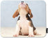 Puppy Dog Mouse Pad Small Cute Beagle Puppy Dog Looking Up Decor Gaming Mouse Pad Rectangle Non-Slip Rubber Mousepad for Computers Laptop 7.9x9.5 ...