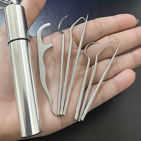 Dental Pick Portable Stainless Steel Tooth Pick Set Reusable Tooth Stains Remover Dental Tool Teeth Cleaning Tools with Holder for Outdoor Picnic,...