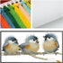 OHAOLYLE Cross Stitch Kits, Stamped Cross Stitching Kits Preprinted for Beginners DIY 11CT Hand Needlework Kits Embroidery Starter Kits Three Bird...