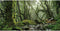 AWERT Foggy Forest Terrarium Background Stream Green Huge Tree Reptile Habitat Background Tropical Rainforest Aquarium Background 24x12 inches Dur...