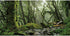 AWERT Foggy Forest Terrarium Background Stream Green Huge Tree Reptile Habitat Background Tropical Rainforest Aquarium Background 24x12 inches Dur...