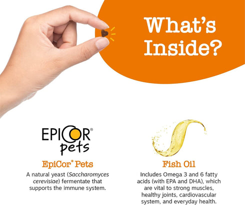 Zesty Paws Training Treats for Dogs & Puppies - Hip, Joint & Muscle Health - Immune, Brain, Heart, Skin & Coat Support - Bites with Fish Oil Omega...