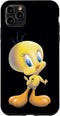 iPhone 11 Pro Max Looney Tunes Tweety Bird Airbrushed Case...