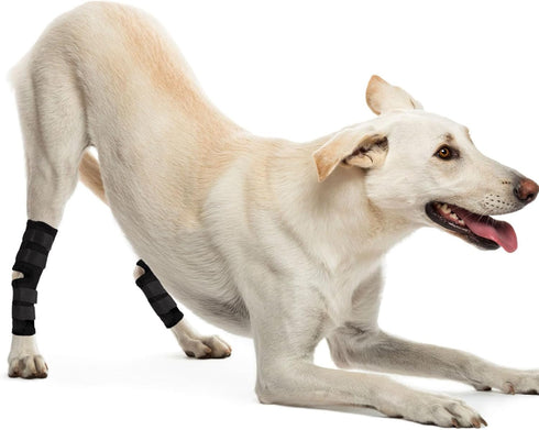 Dog Hind Leg Brace Protects Wounds, Dogs Leg Compression Joint Wrap for Recovery, Pair of Dog Elbow Brace Prevents Injuries, Pet Leg Hock Protecto...