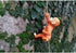 Climbing Monkey Tree Hugger Garden Monkey Statue Resin Animal Sculpture Yard Decor for Outside, Funny Tree Climber Figurine Outdoor Patio Lawn Dec...