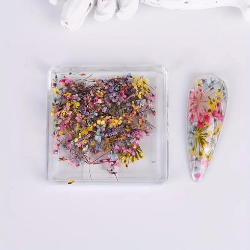 3D Dried Flower for Nails, Flower Nail Art Stickers 1Box Mixed Dried Flowers for Nail Art Resin DIY Crafts Natural Real Dry Flower Decals for Spri...