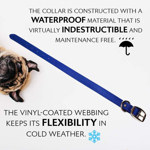Regal Dog Products Medium Blue Waterproof Dog Collar with Heavy Duty Black Hardware Buckle & D Ring | Vinyl Coated, Adjustable Biothane Dog Collar...