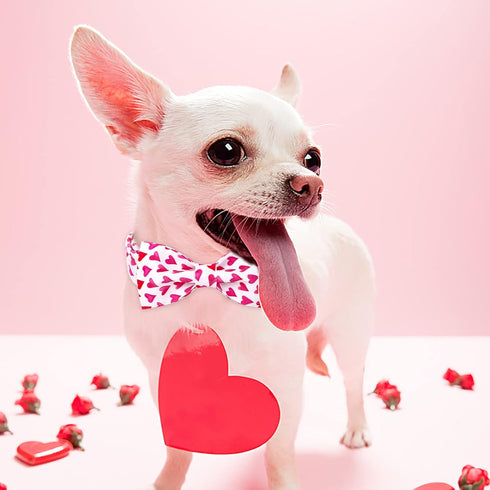 Valentine's Day Dog Collar with Bow Tie, White Red Love Male Dog Collar with Safety Metal Buckle Adjustable Puppy Collars for Small Medium Large B...