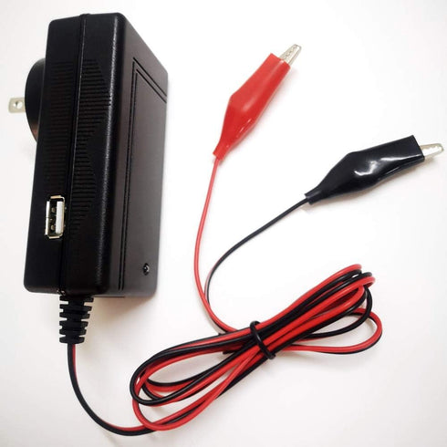 6V/12V Lead Acid Battery Charger for Ride On Toys 12V/6V Kids Ride On Car SLA Charger for 6V/12V pb Battery Baby Electric Battery SUV Kid Toy Car ...