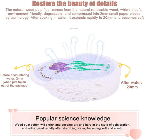 Household Dishwashing Sponge Cleaning Sponges Scouring Pot Sponge Dishes Compressed Sided Wipe Doubl Wood Pulp Pads Household Cleaning Sponges...