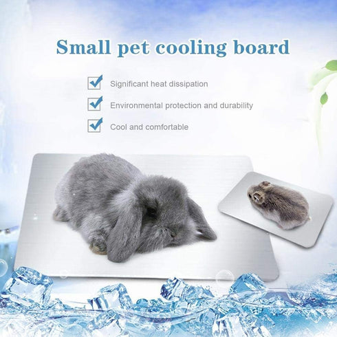 Rabbits Cooling Mat, Self Cooling Mat Pad for Hamster Guinea Pig Chinchilla Bunny Kitten Cat and Other Small Animals, Pet Cool Plate Ice Bed, Rapi...