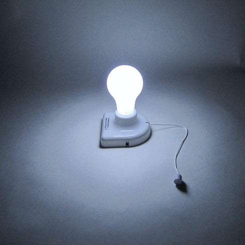 Treasure Gurus 2 Pack Battery Powered LED Anywhere Portable Lightbulbs Instant Stick On Emergency Light Bulbs...