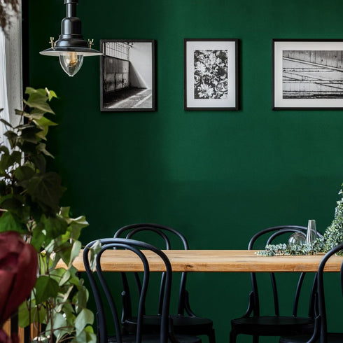 Green Peel and Stick Wallpaper Solid Green Contact Paper 15.7inch x 118.1inch Green Contact Paper Peel and Stick Self Adhesive Wallpaper Removable...