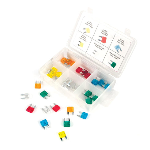 Performance Tool W5371 30-Piece Mini Fuse Assortment With Wide Range of Amp Ratings (5A, 10A, 15A, 20A, 25A, and 30A)...