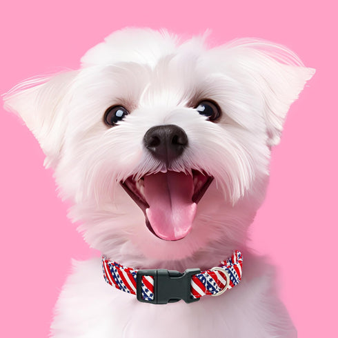 American Flag Dog Collar?4 of July Cute Adjustable Patriotic Collar for Boy and Girl Dogs, Dog Collar with Strong Plastic Buckle - for Small Mediu...
