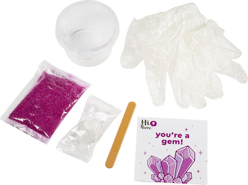 Toysmith You're A GEM - Hi There! Delightfully Witty Gift, Crystal Growing Kit, Desk Toy, Science Kits, Gifts for Friends, for All People Ages 10+...