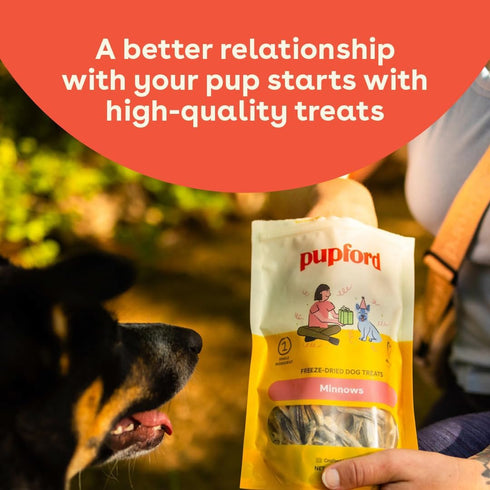 Pupford Freeze Dried Minnows for Dogs & Puppies - Healthy, Natural, Single Ingredient Dog Treats - Made in USA (1.5 oz)...