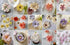 Cake Icer Tips Large Decorating Icing Tips, Crumb Coat Piping Tips for Cake Decorating, Decorating Tools, Icing and Piping Tips (#202)...