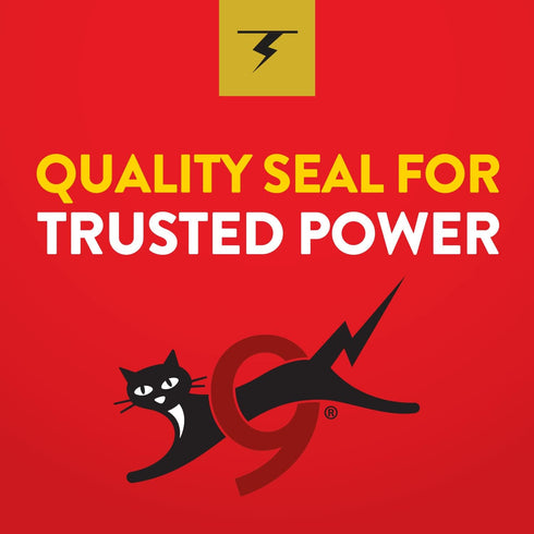 Eveready Gold Alkaline AAA Batteries, 8 Pack of Triple A Batteries...